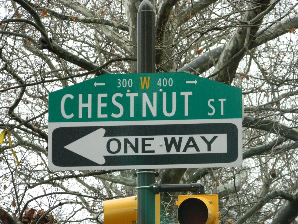 Chestnut Street Bridges